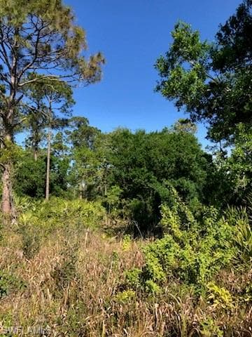 769 Horse Club AVE CLEWISTON, FL 33440