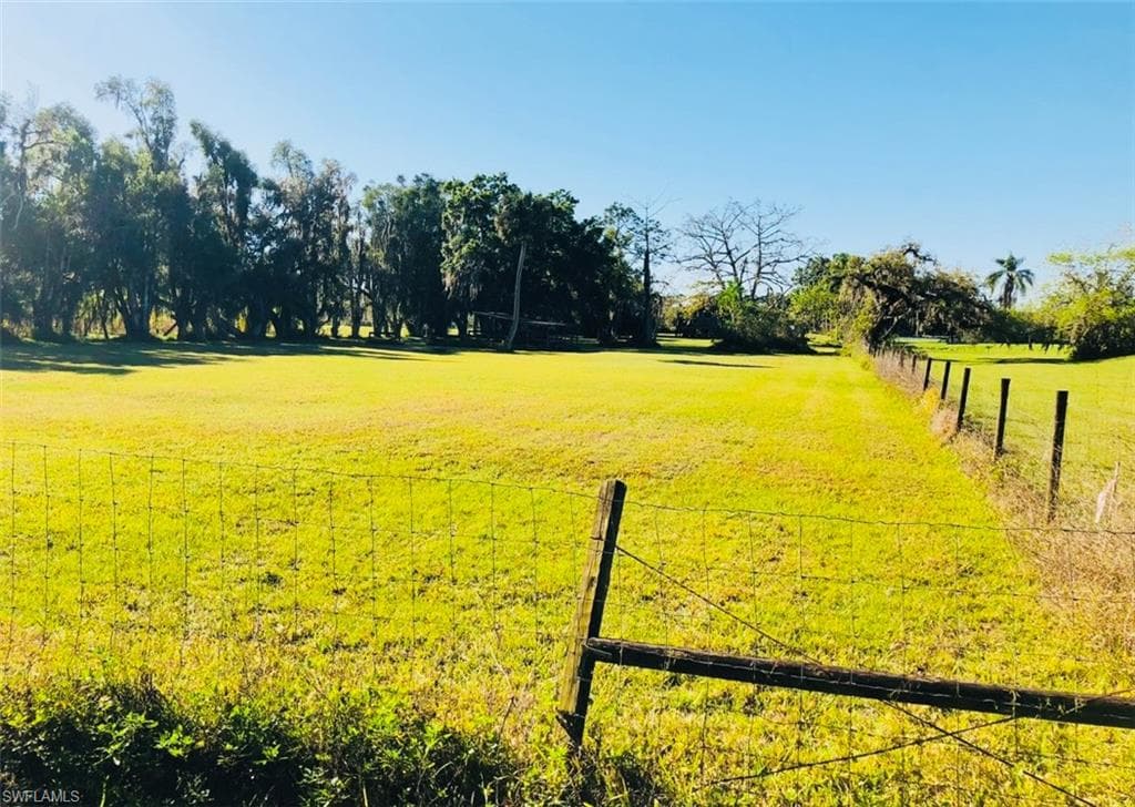 17720 Taylor RD ALVA, FL 33920
