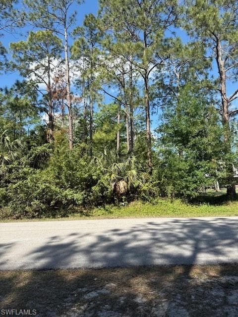 Wilson BLVD N NAPLES, FL 34120