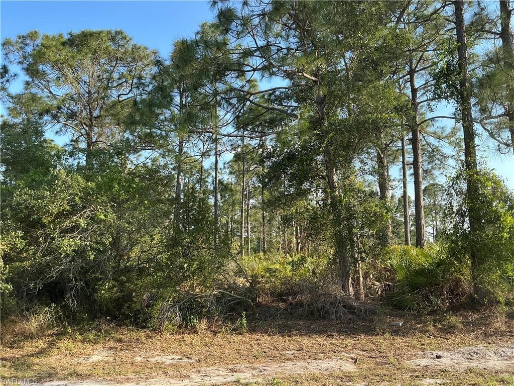 918 Beverly ST E LEHIGH ACRES, FL 33974