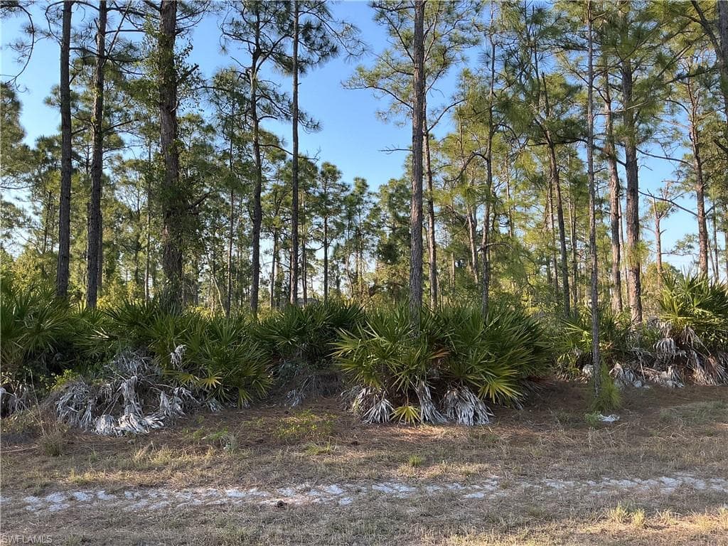 927 Kanuga ST E LEHIGH ACRES, FL 33974