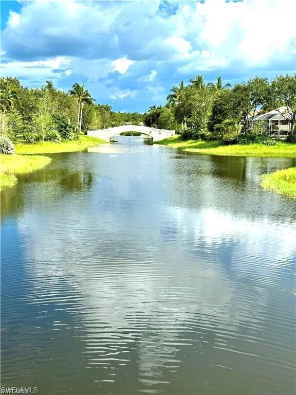 15059 Blue Marlin TER BONITA SPRINGS, FL 34135