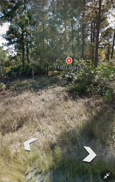 1130 Coons ST E LEHIGH ACRES, FL 33974