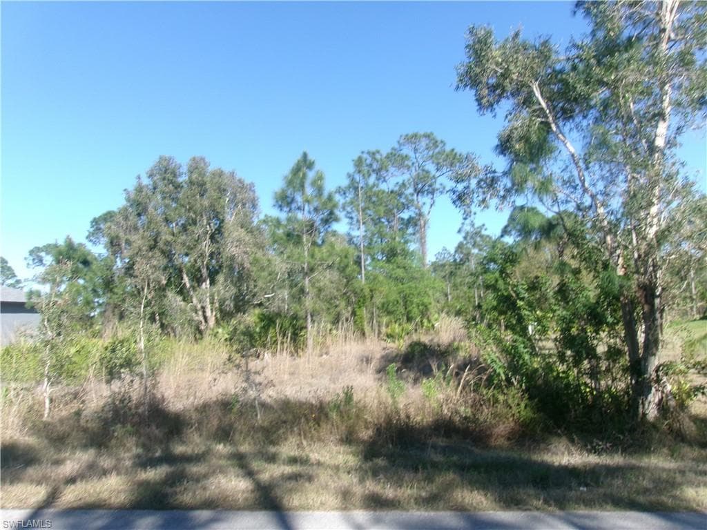 811 Aletha AVE S LEHIGH ACRES, FL 33974