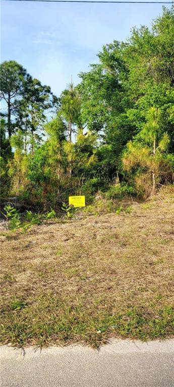 961 IRIS ST E LEHIGH ACRES, FL 33974