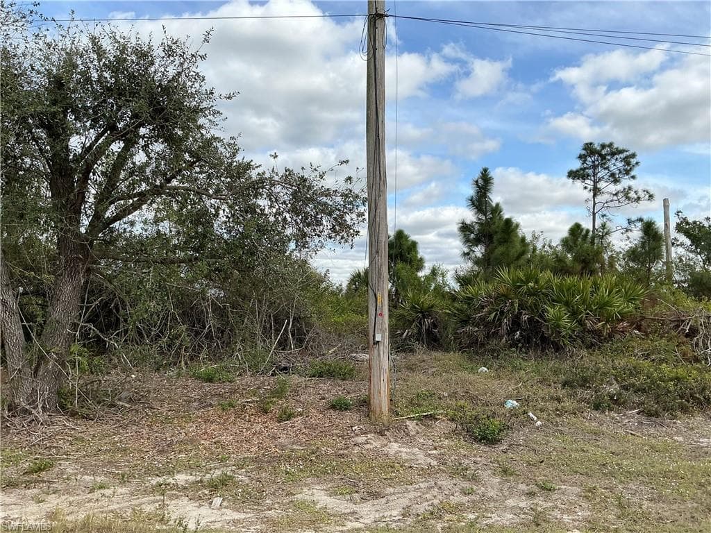 1029 Naples AVE S LEHIGH ACRES, FL 33974