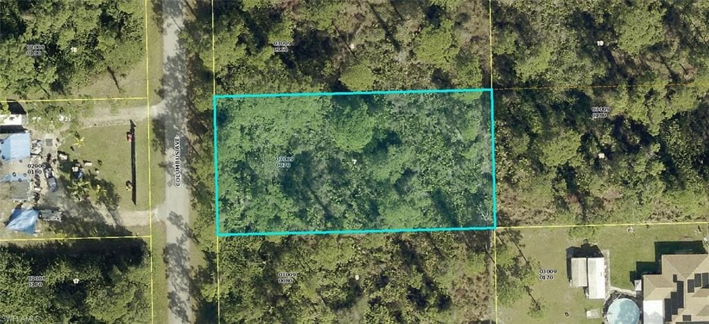 2010 Columbus AVE ALVA, FL 33920