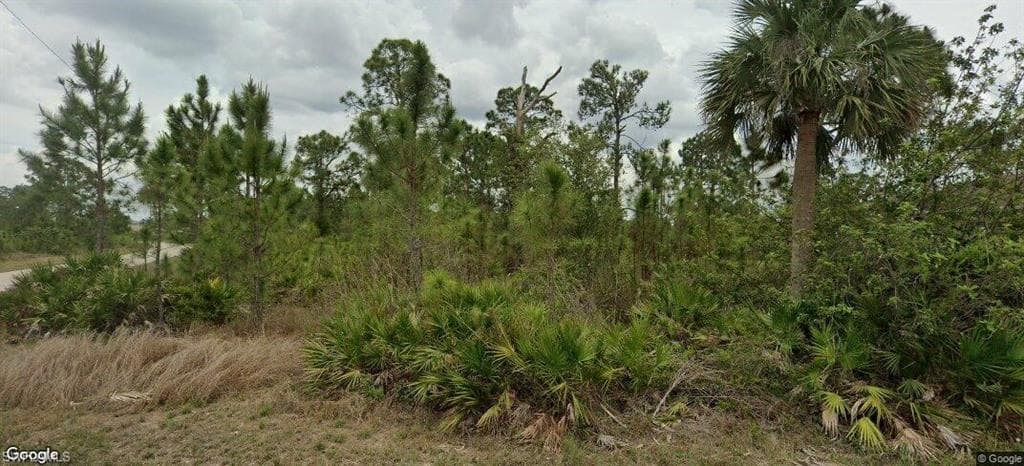 641 Sondu AVE LEHIGH ACRES, FL 33974