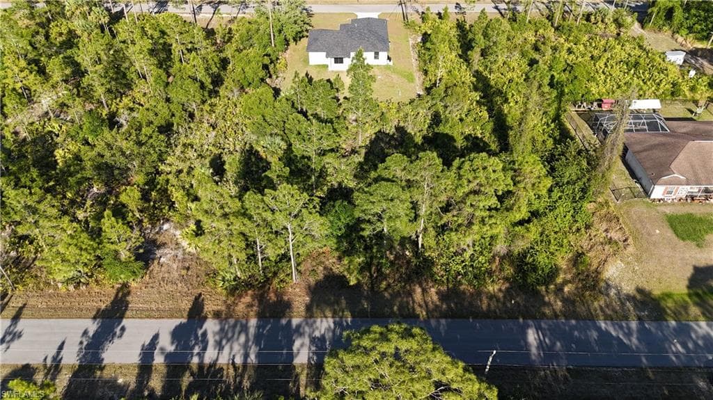 2110 McArthur AVE ALVA, FL 33920