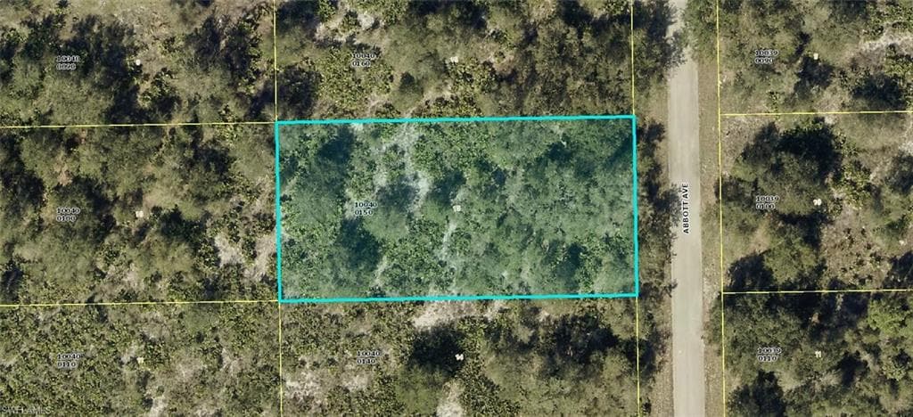 2305 Abbott AVE ALVA, FL 33920