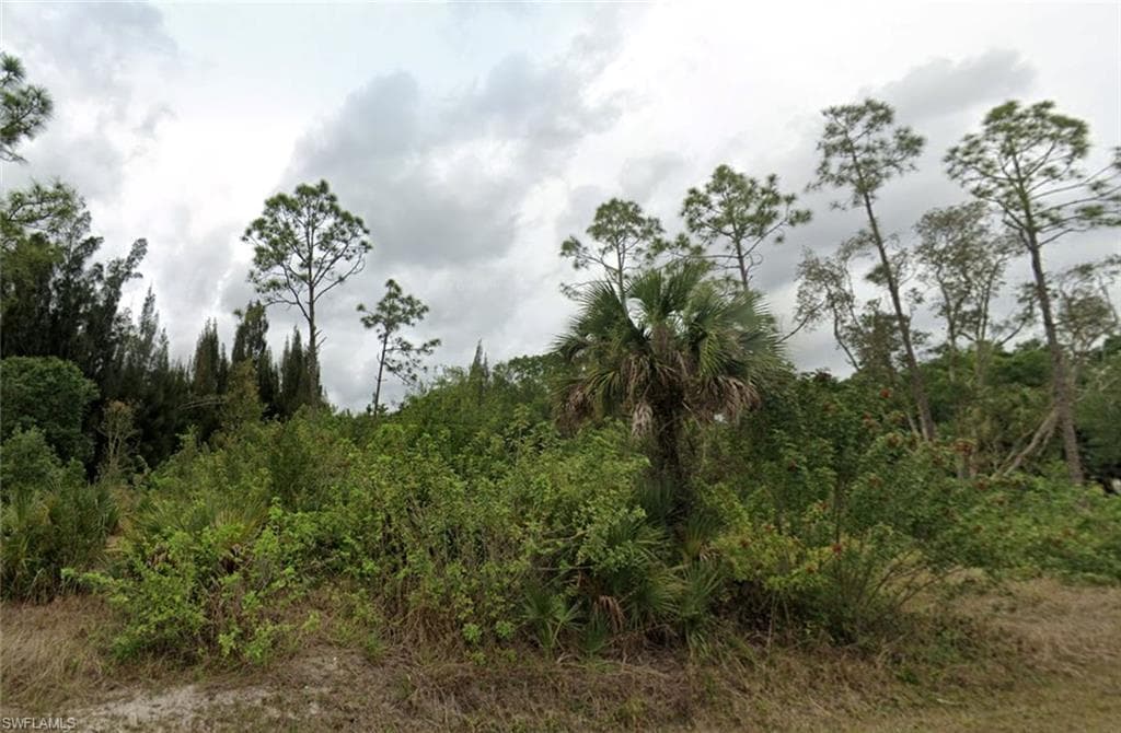 913 Willard AVE LEHIGH ACRES, FL 33972