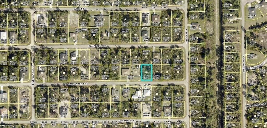 867 Carpenter ST E LEHIGH ACRES, FL 33974