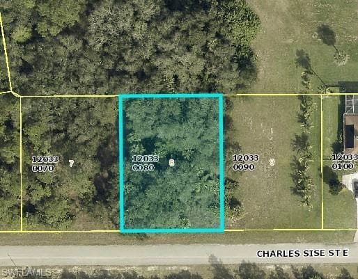 613 Charles Sise ST LEHIGH ACRES, FL 33974