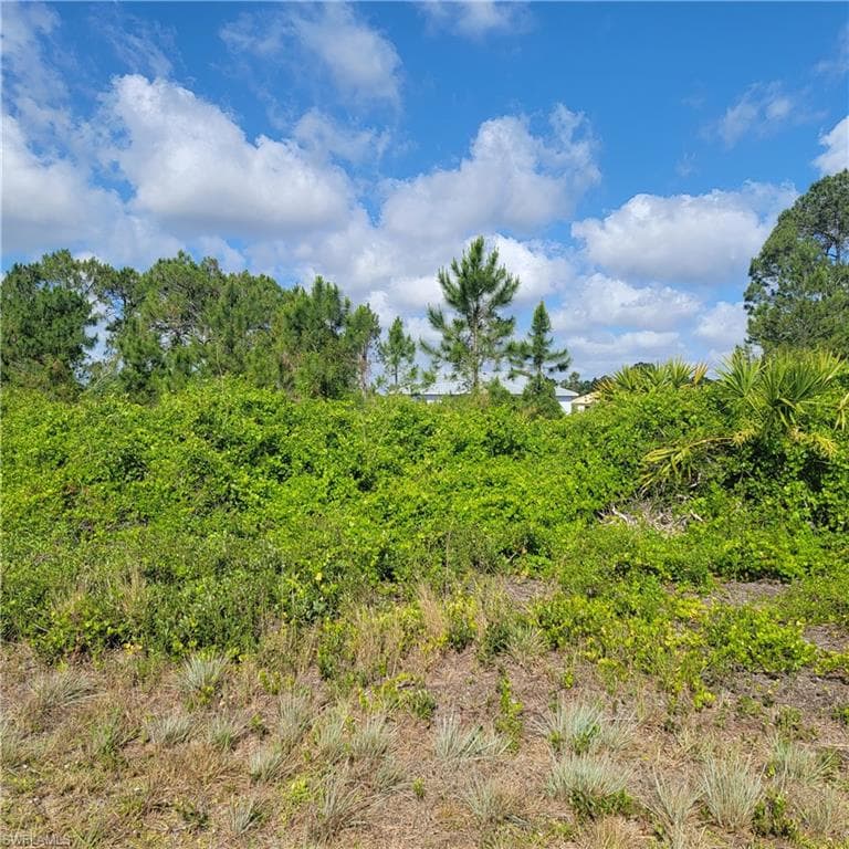 710 Azure AVE LEHIGH ACRES, FL 33974