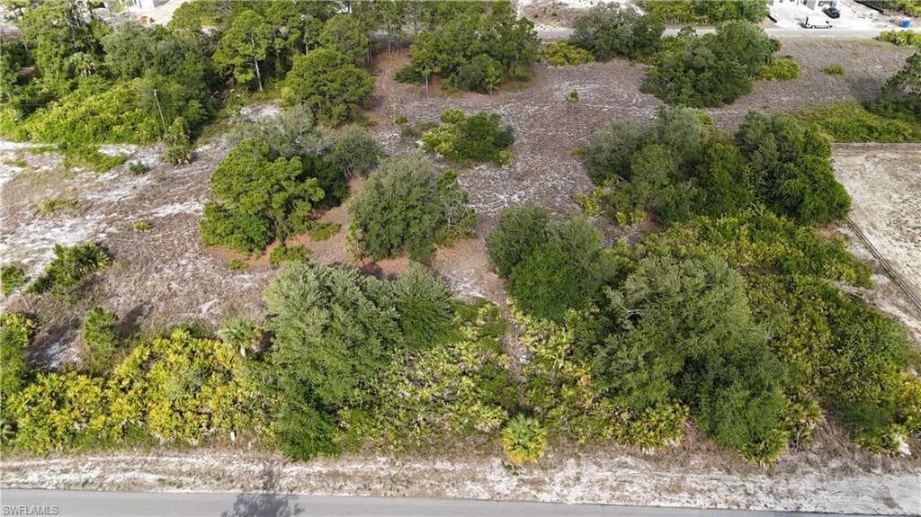 1315 Dixie AVE LEHIGH ACRES, FL 33972