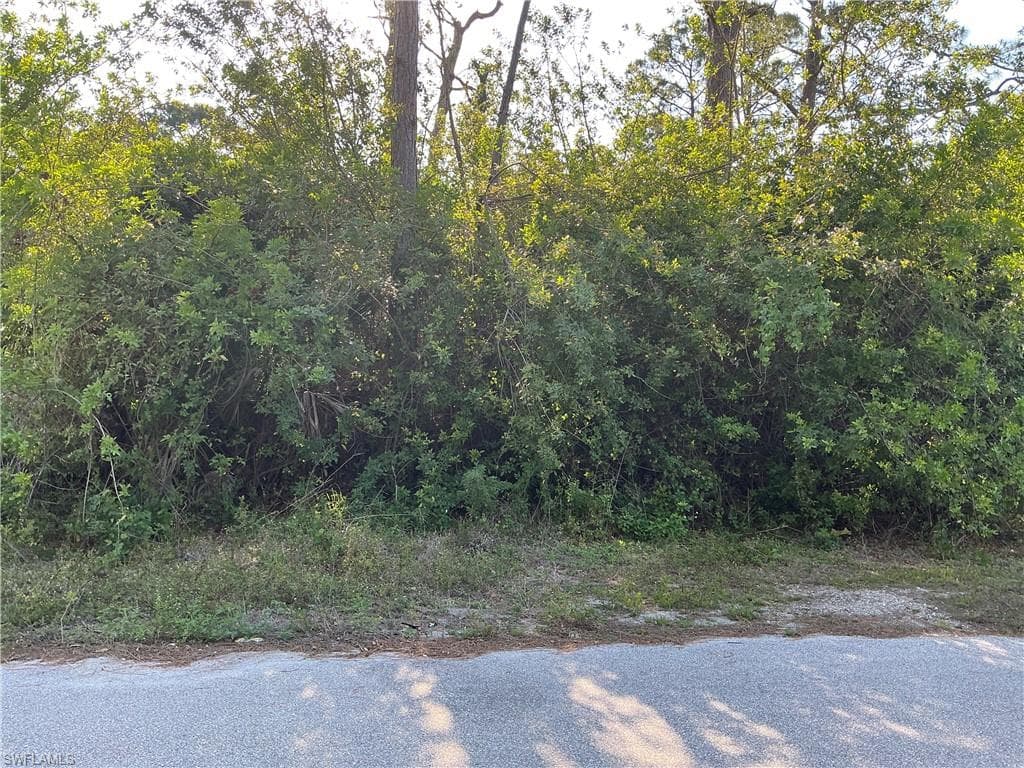 636 Sunflower AVE S LEHIGH ACRES, FL 33974