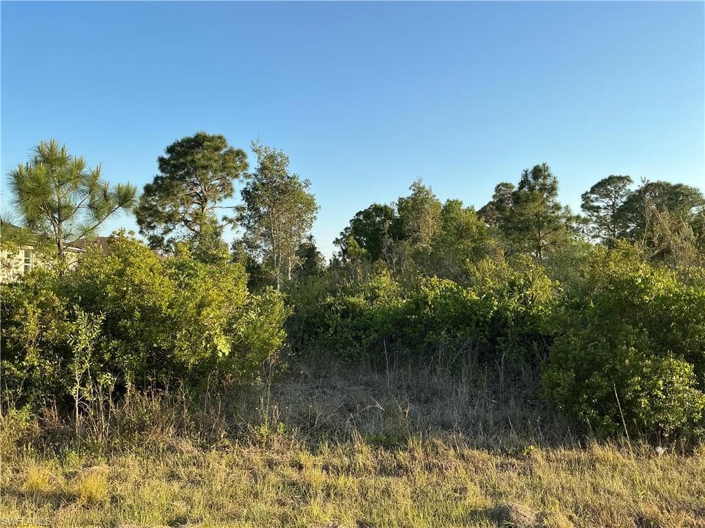 3009 42nd ST W LEHIGH ACRES, FL 33971