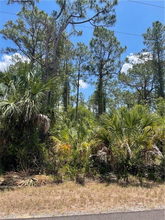 20 FITCH AVE LEHIGH ACRES, FL 33936