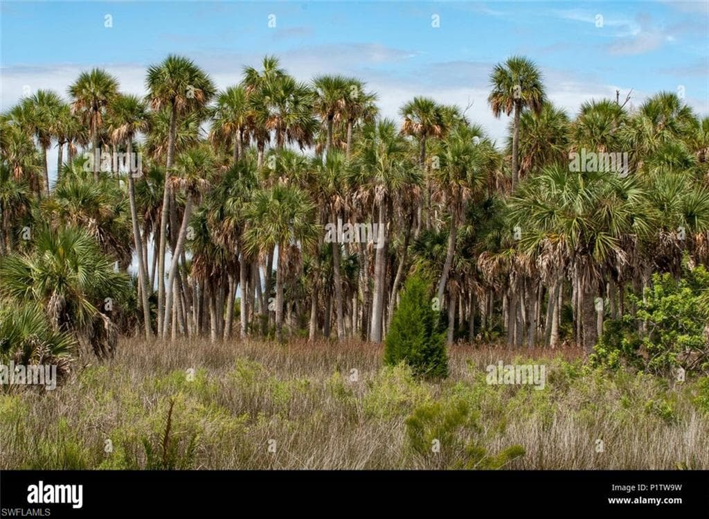 Desoto Blvd NAPLES, FL 34120
