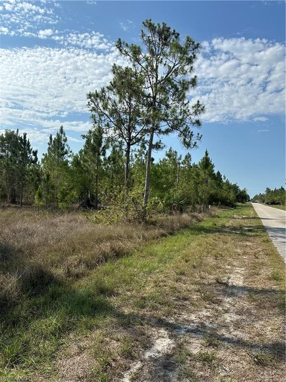 1014 Jackson AVE LEHIGH ACRES, FL 33972