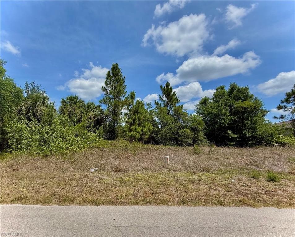 807 Casper Yost ST E LEHIGH ACRES, FL 33974