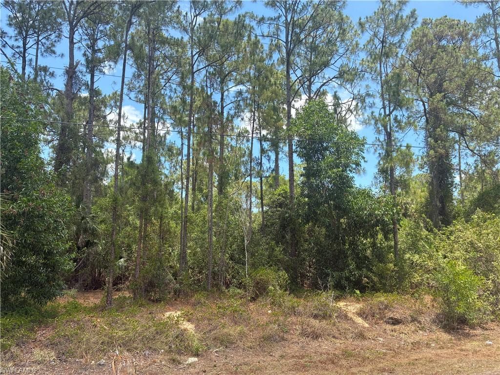 5043 Palmetto Woods DR NAPLES, FL 34119