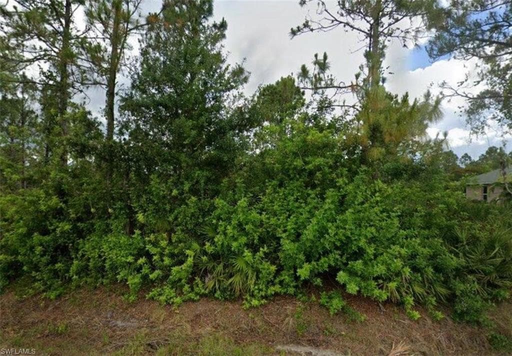 811 Clark AVE LEHIGH ACRES, FL 33972