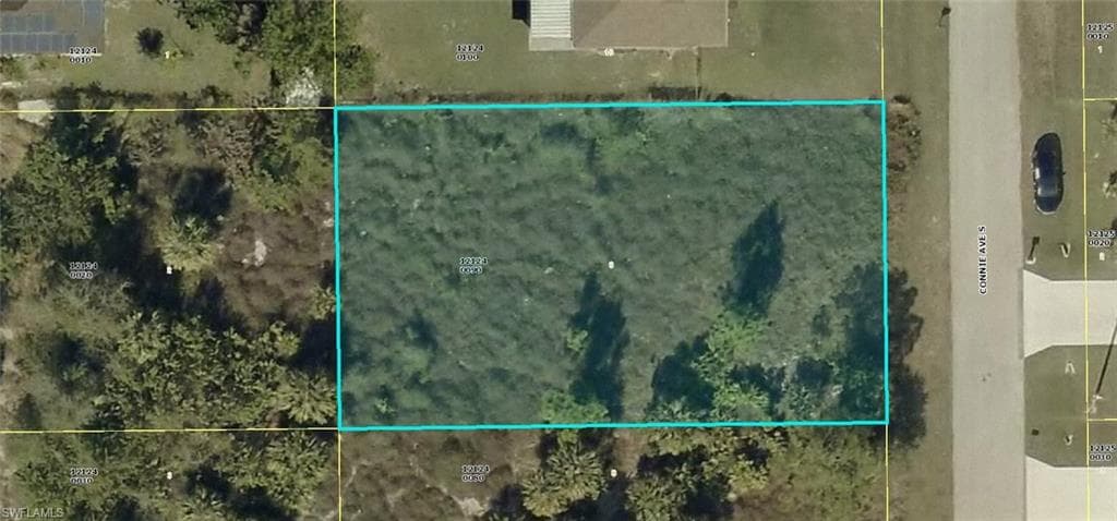 4602 Connie AVE S LEHIGH ACRES, FL 33976