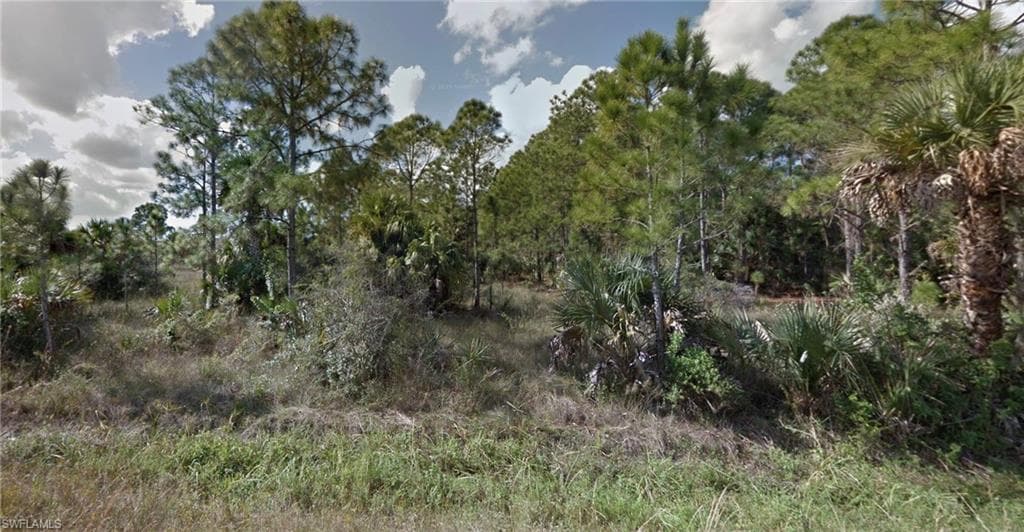 803 Rush AVE LEHIGH ACRES, FL 33972