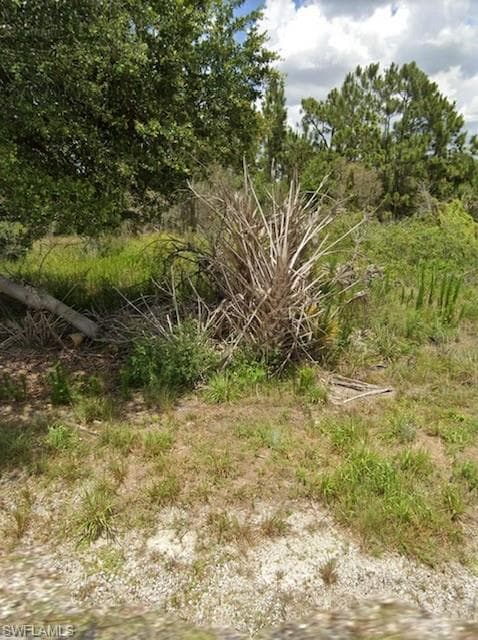 929 Grafton ST LEHIGH ACRES, FL 33974