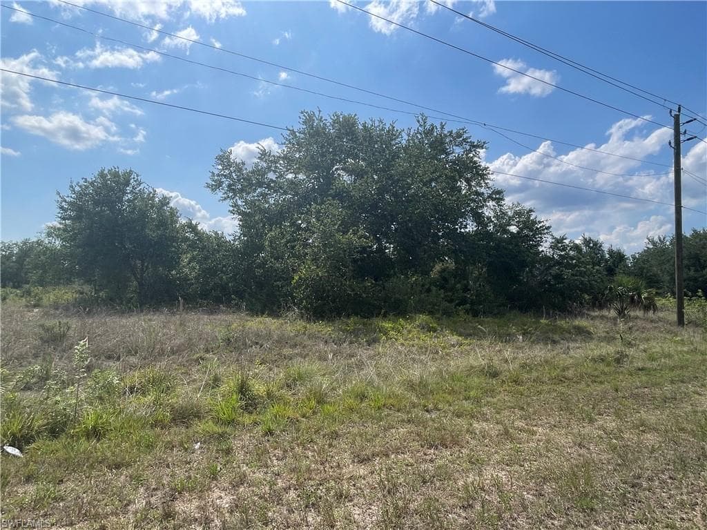 6009 Sunshine BLVD N LEHIGH ACRES, FL 33971