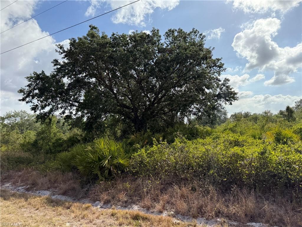 555 S Live Oak ST CLEWISTON, FL 33440