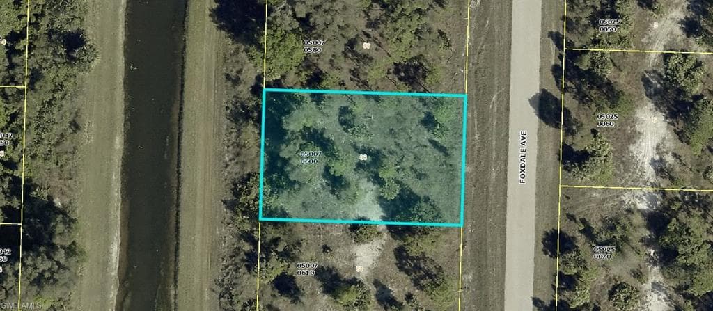 905 Foxdale AVE LEHIGH ACRES, FL 33974