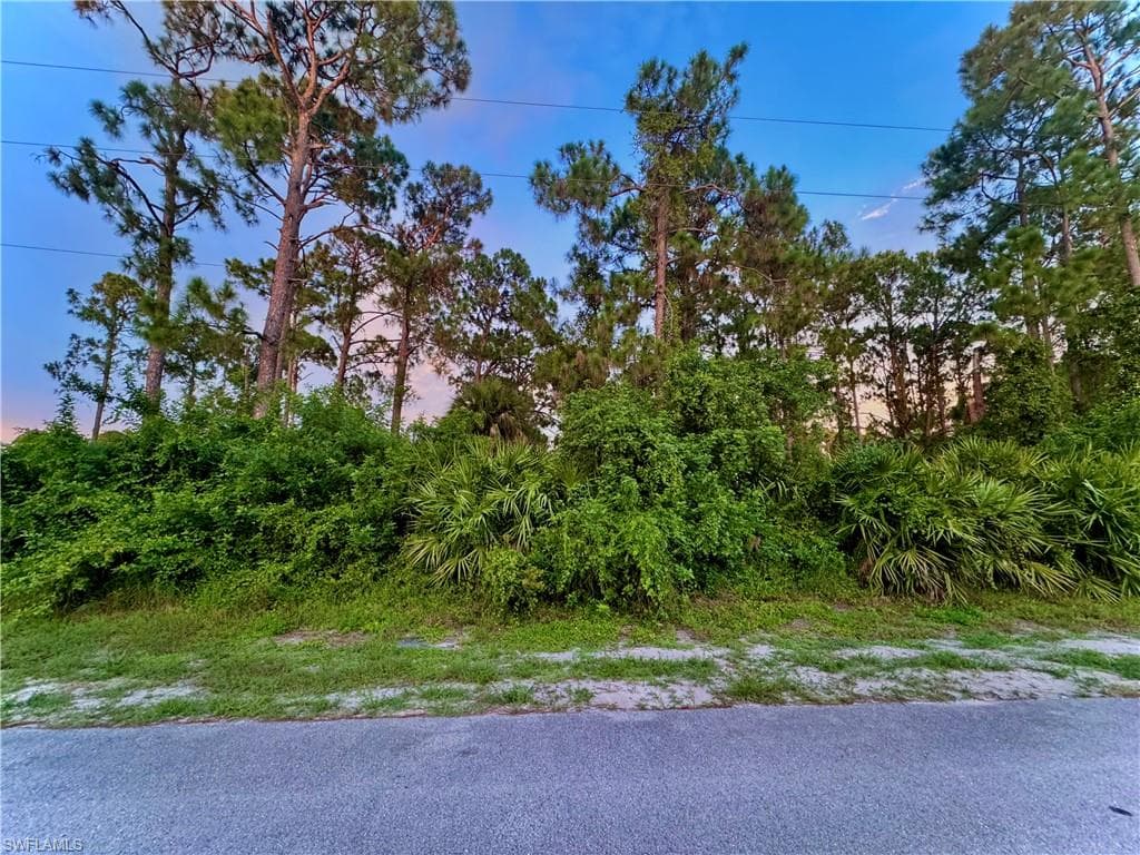 511 Redwood AVE S LEHIGH ACRES, FL 33974
