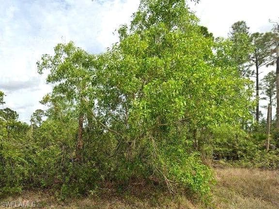 1247 Edna ST E LEHIGH ACRES, FL 33974