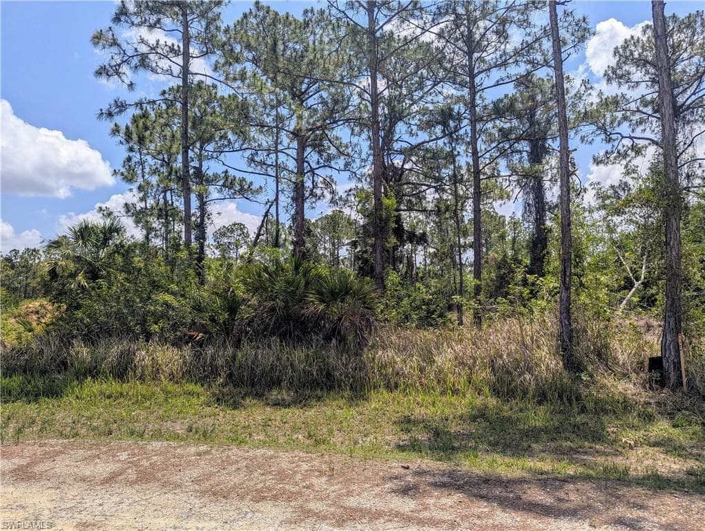 249 Andalucia AVE S LEHIGH ACRES, FL 33974