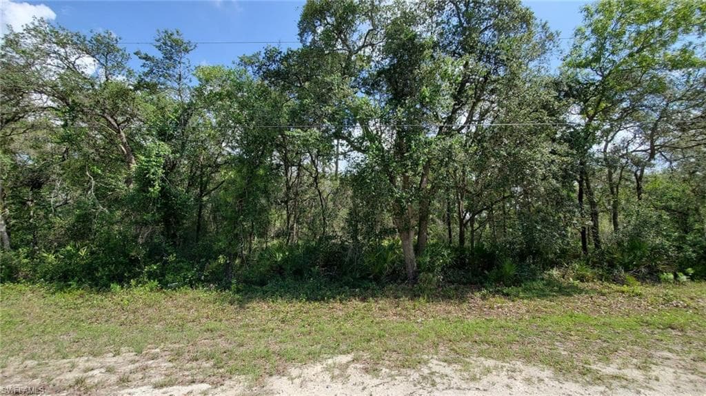 35017 Primrose LN WEBSTER, FL 33597