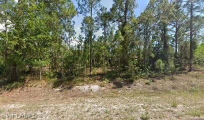 456 Boleyn CIR LEHIGH ACRES, FL 33974