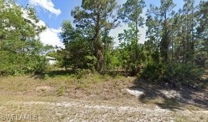 458 Boleyn CIR LEHIGH ACRES, FL 33974