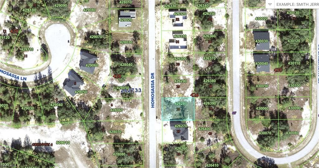 1308 HOMOSASSA DR POINCIANA PLACE, FL 34759