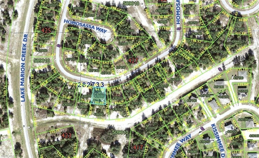1348 Homosassa DR POINCIANA PLACE, FL 34759