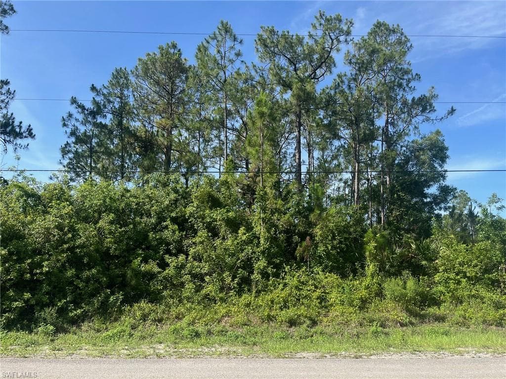 16th AVE NE NAPLES, FL 34120