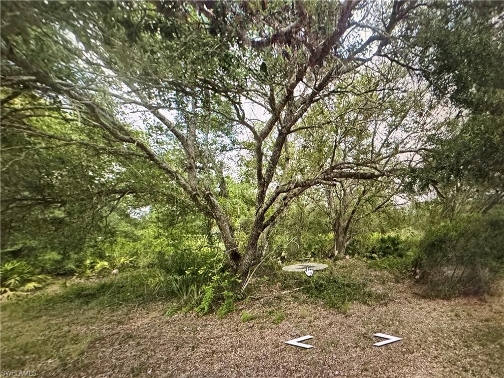 2306 Abbott AVE ALVA, FL 33920