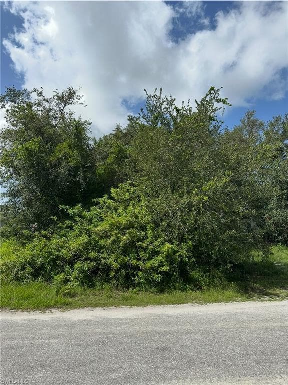 2905 39th ST SW LEHIGH ACRES, FL 33976
