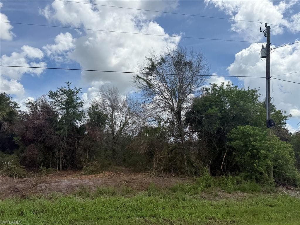 209 Bald Cypress AVE CLEWISTON, FL 33440