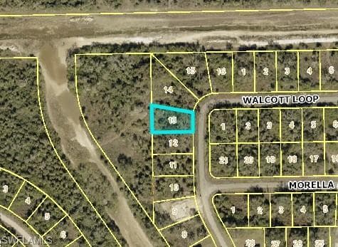 1959 Walcott LOOP LEHIGH ACRES, FL 33972