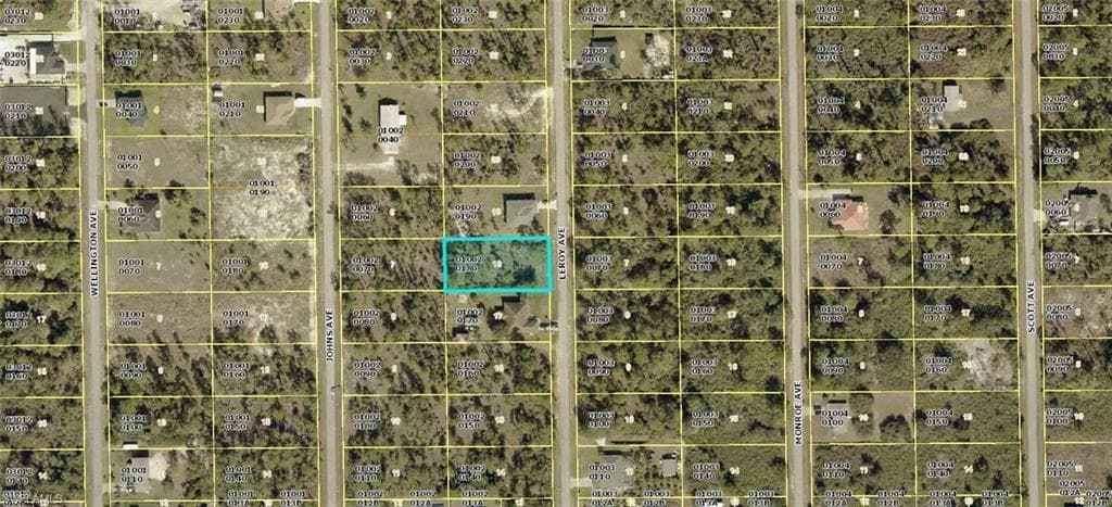 811 Leroy AVE LEHIGH ACRES, FL 33972