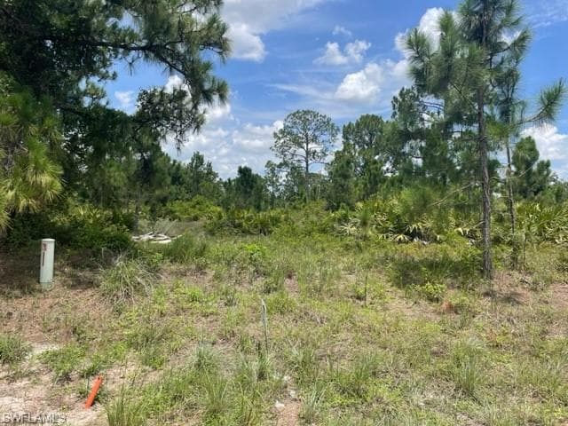 557 Barranger AVE S LEHIGH ACRES, FL 33974