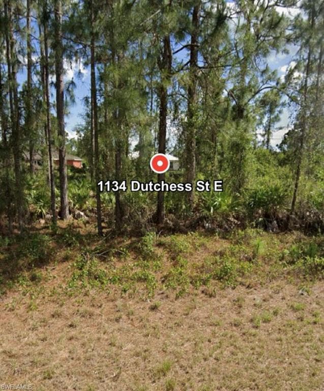 1134 Dutchess ST E LEHIGH ACRES, FL 33974