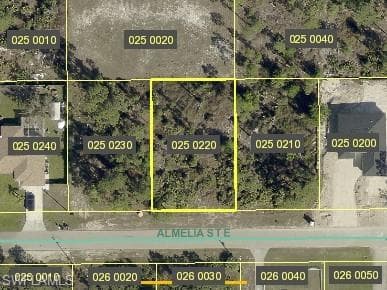 715 Almelia ST E LEHIGH ACRES, FL 33974